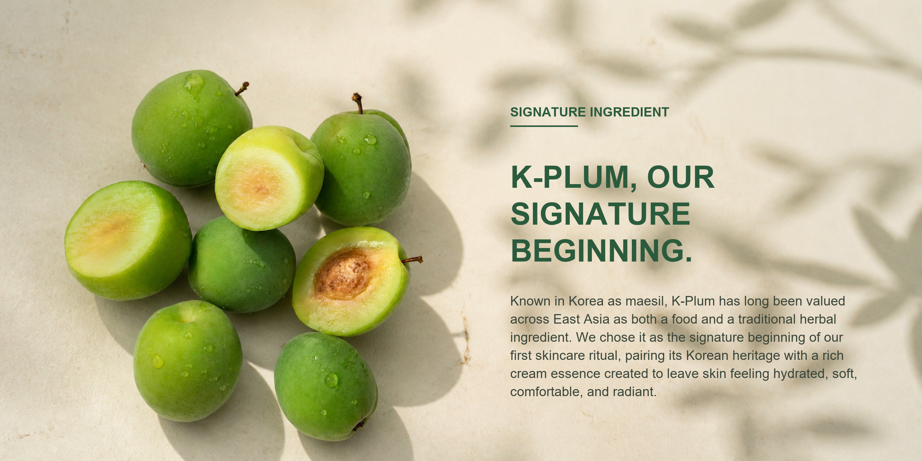 K-Plum, our signature beginning. Known in Korea as maesil, K-Plum has long been valued across East Asia.